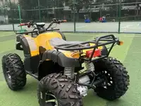 Электроквадроцикл storm grand 4x4, фотография 3