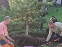 Поклейка обоев, фотография 9