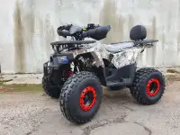 Квадроцикл WELS Thunder 125 E2X, фотография 3