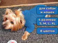 Помогу с продвижением на маркетплейс, фотография 4