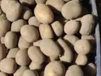 Картофель
