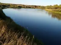 продажа участка, Минская область, Березинский район, д. Бычин., фотография 3