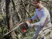 Обрезка деревьев. ПОКОС ТРАВЫ.НЕДОРОГО!!!, фотография 8
