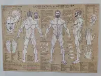 Биоэнергокоррекция, фотография 5