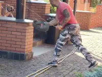 Дрессировка собак всех пород