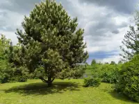 Продам дом, Деревня Новый Свержень, ул. Столбцовская, д. 38, фотография 3