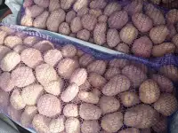 Картофель
