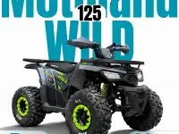 Квадроцикл ATV Motoland Wild 125 без ПТС (к-т з/ч)