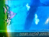 Мио, мой Мио! - Повести-сказки скандинавских писателей, фотография 3