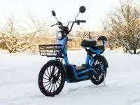 Электровелосипед AVM E-ALFA DELTA, фотография 4