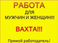 Упаковщик/разнорабочий