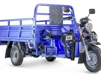 Грузовой электрический трицикл rutrike эксперт про 2000