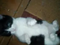 малыш ждет вас, фотография 3