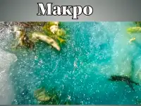 Мыло ручной работы с ягелем, фотография 2