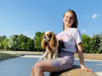 Вязка Кавалер Кинг Чарльз Спаниель