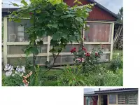 Продам дачу, СТ Добосна, фотография 2