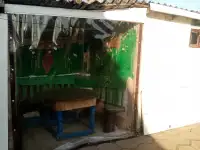 Уютный Домик, Полевая 6, посёлок Альба, Несвижского района, фотография 6