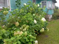 Продается домик деревянный теплый в д.Стайки Воложинского района, фотография 3