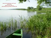 Дом вблизи большого озера Могилевская обл. Круглянский р-н  д Шупени Набережная 11, фотография 7