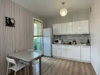 Квартира посуточно в Фаниполе ул. Брестская, фотография 3