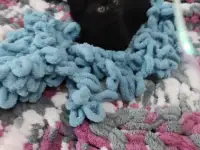 Котята в добрые руки, фотография 4