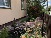 Дом, Советская ул, деревня Октябрь, Октябрьский сельсовет, район, Гомельск