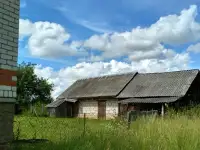 Дом у озера в Новом Селе! Кирпичный дом, 25 соток  баня на берегу. Косули приходят к порогу!, фотография 9