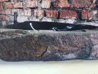 Раковина из натурального камня, фотография 2