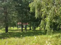 участок СТ АГРОБелОИ-1 25 км от м. Уручье, фотография 2