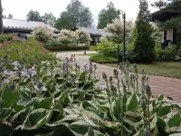 Услуги по озеленению, ландшафтному дизайну и благоустройству, фотография 8