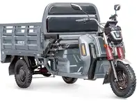 Грузовой электротрицикл rutrike антей pro 1500 60v1200w