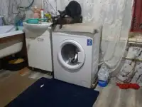 Мой  Котик пригласит Невесту на Вязку, фотография 7