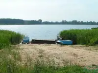 прекрасный участок на берегу озера Городно, Озёрная ул, 13, деревня Городнянский Мох, Новкинский сельсовет, район,, фотография 11
