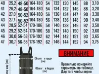 Забродники Вейдерсы с ботинками 42 рр PROS Польша, фотография 6