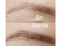 Отрастить брови за 2 месяца