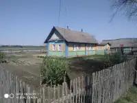 Продам дом в д.Зубры Горецкого района., фотография 2