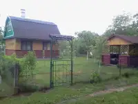 Дача в лесном массиве