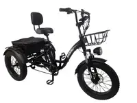 Трехколесный электровелосипед shtenli trike xmax