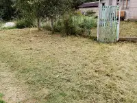 Уютный дом в лесу для души и отдыха. 25 соток уединения, но в деревне с соседями., фотография 2
