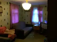 Продам дом с флигелем  в г.Поставы на берегу реки, фотография 8