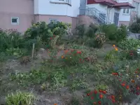Сдам 1 комнату квартиру, Березогорская 8, фотография 10