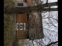 Длм, Красноармейская ул, деревня Дитрики, Гончарский сельсовет, Лидский район, Гродне, фотография 3