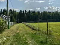 Участок возле Держинска, Полевая, фотография 3