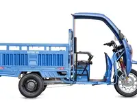 Грузовой электротрицикл rutrike гермес pro 1500 72v1500w, фотография 9