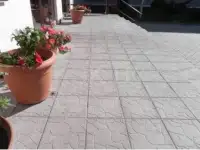 Тротуарная плитка Черепашка