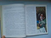 Дефо. Робинзон Крузо (пересказ для детей), фотография 8