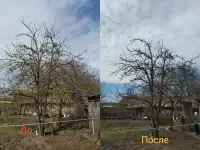 Садовник, уход за садом, фотография 2