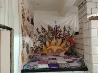 Хутор, Брестская область., Березовский район, д. Михалинок., фотография 7