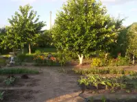 Продается дача в деревне Жаховичи, фотография 7