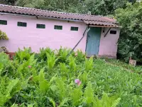 Продается дом в деревне Родковичи, Барановичского р-на, ул. Короткая 1-А, фотография 4